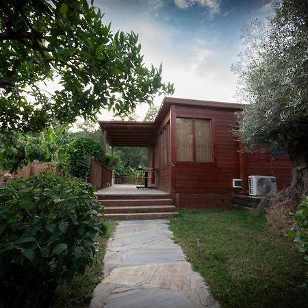 הוילה אורגיווה El Jardin Del Eden מראה חיצוני תמונה