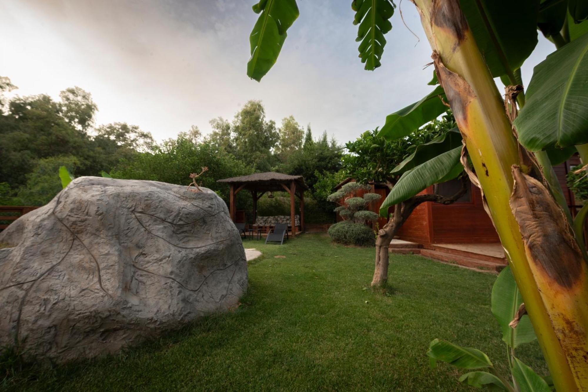 הוילה אורגיווה El Jardin Del Eden מראה חיצוני תמונה