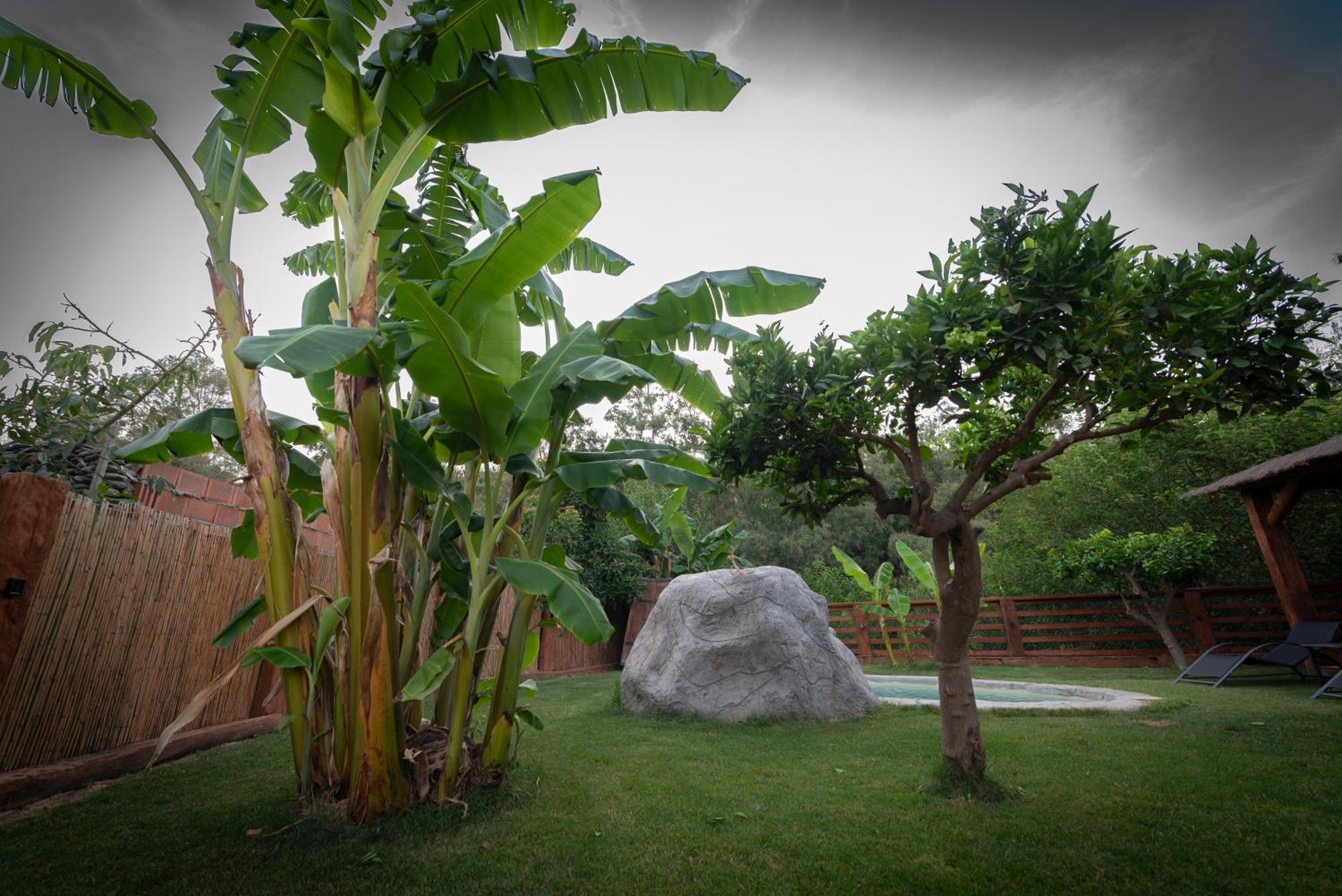 הוילה אורגיווה El Jardin Del Eden מראה חיצוני תמונה