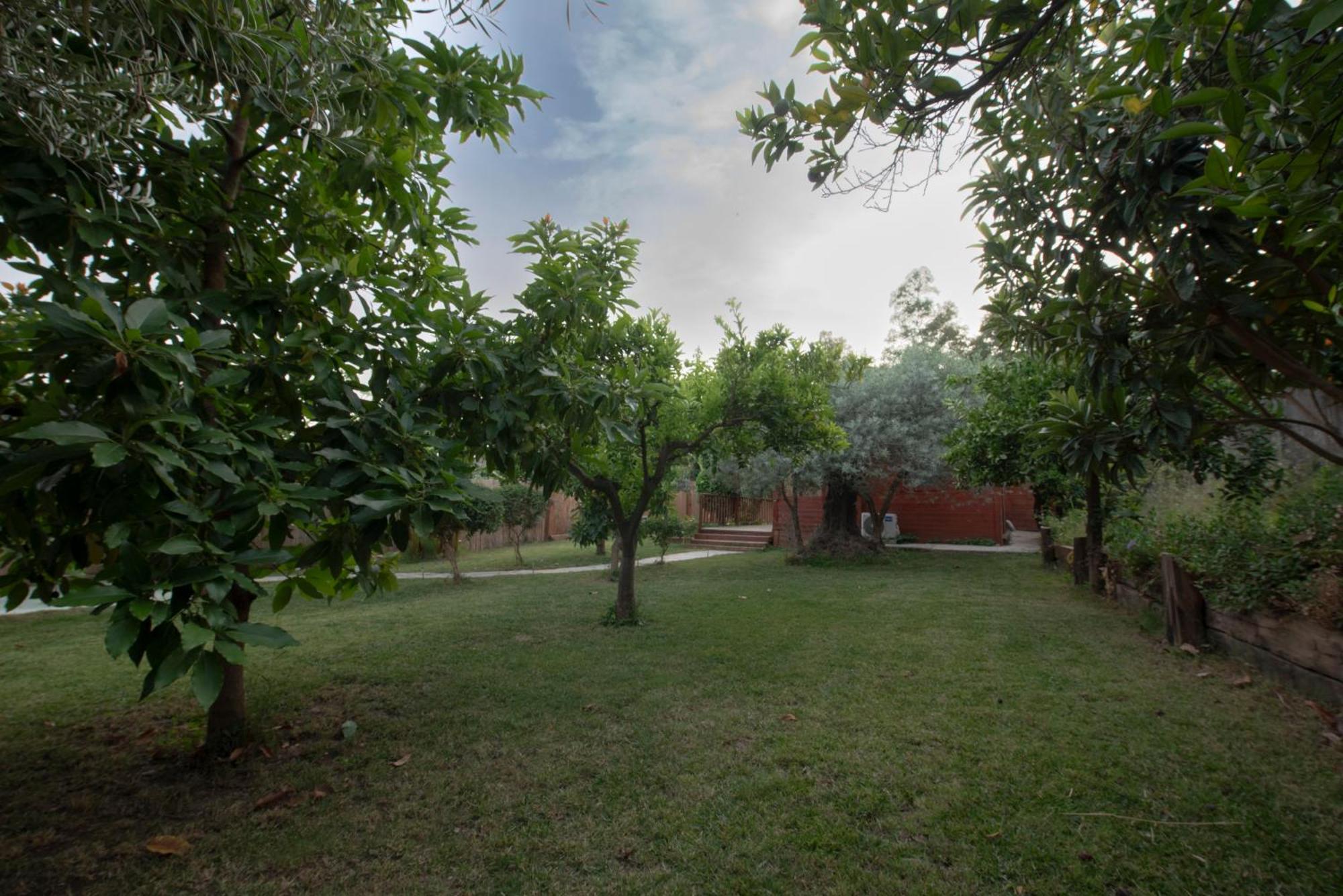 הוילה אורגיווה El Jardin Del Eden מראה חיצוני תמונה